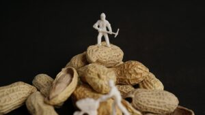 cacahuète barre protéinée musculation