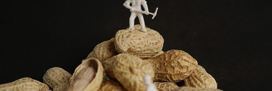 cacahuète barre protéinée musculation