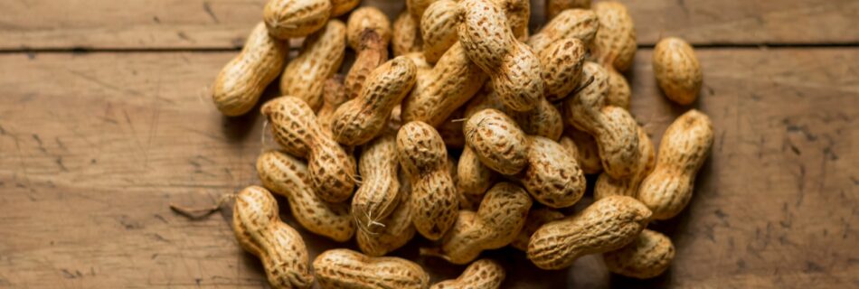 cacahuètes coque